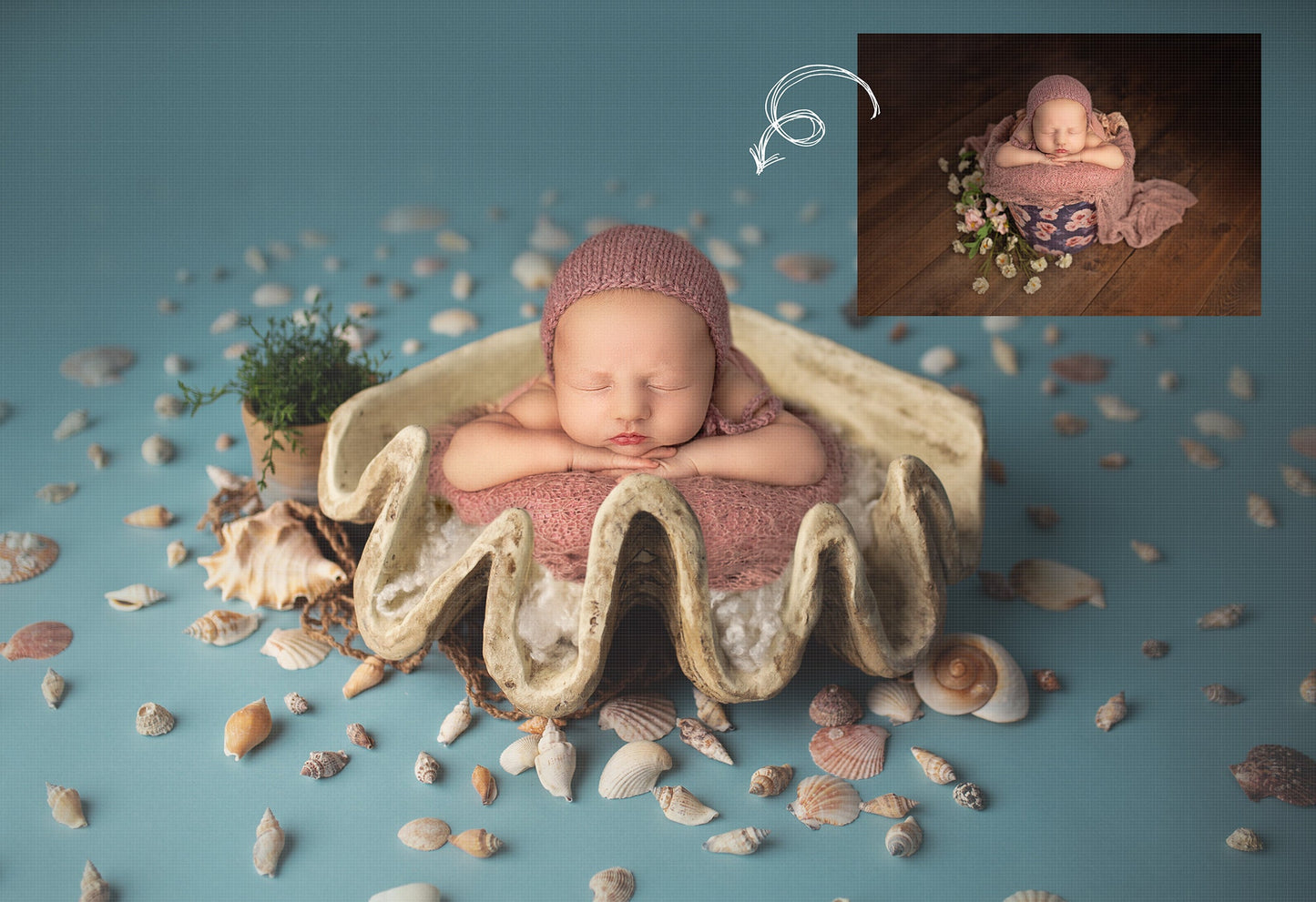 Newborn Digital Backdrop, Newborn Digital Background, Giant Seashell Newborn Digital Backdrop, Under the Sea Newborn Photoshop Background