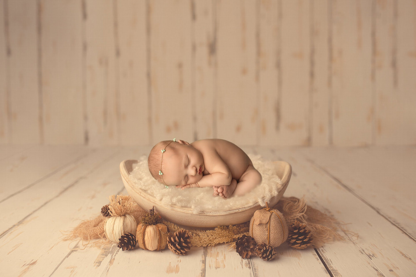 Fall Newborn Digital Backdrop, Autumn Newborn Digital Background, Pumpkins and Pine Cones Fall Real Wood Digital Backdrop for Photoshop