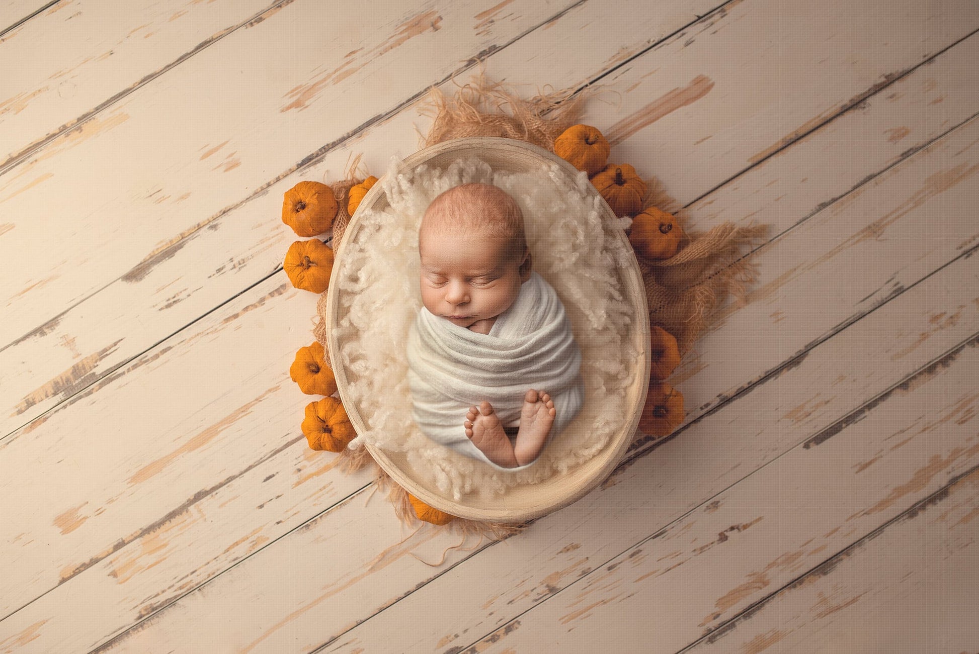 Fall Newborn Digital Backdrop, Autumn Newborn Digital Background, Burlap and Pumpkins Fall Real Wood Digital Backdrop for Photoshop