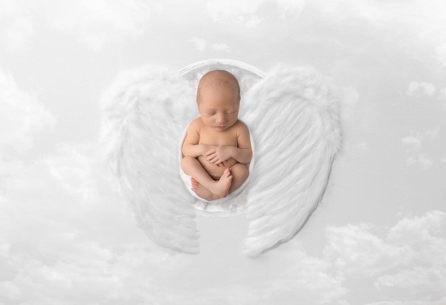 Angel Wings Newborn Digital Backdrop. Angel Baby Newborn Digital Background, Newborn Digital Backdrops for Photoshop