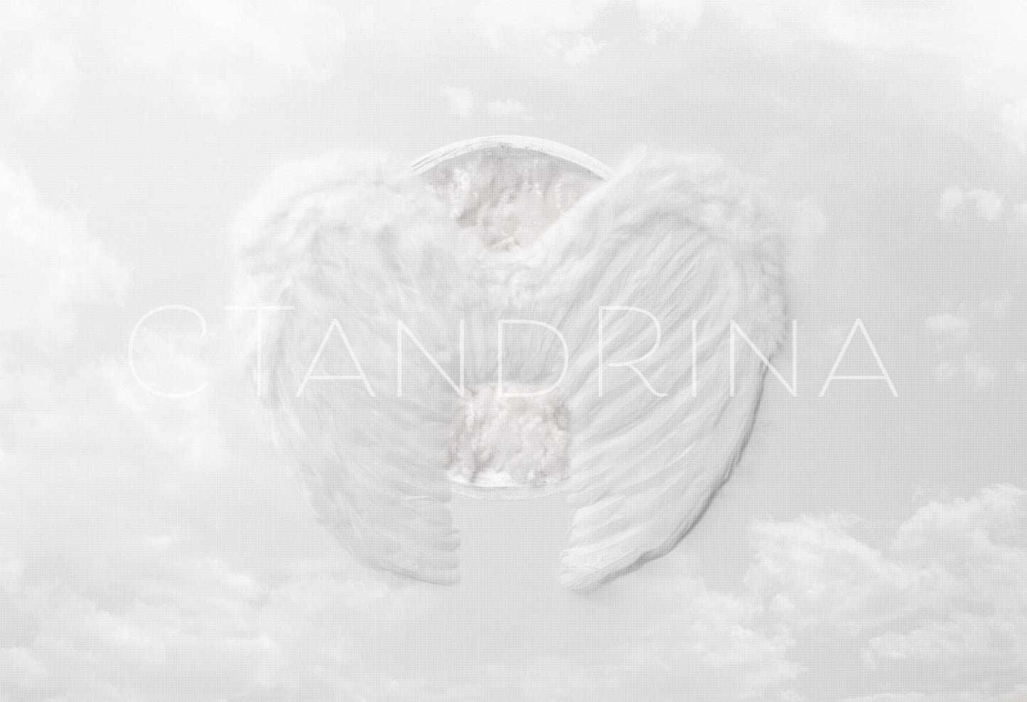 Angel Wings Newborn Digital Backdrop. Angel Baby Newborn Digital Background, Newborn Digital Backdrops for Photoshop