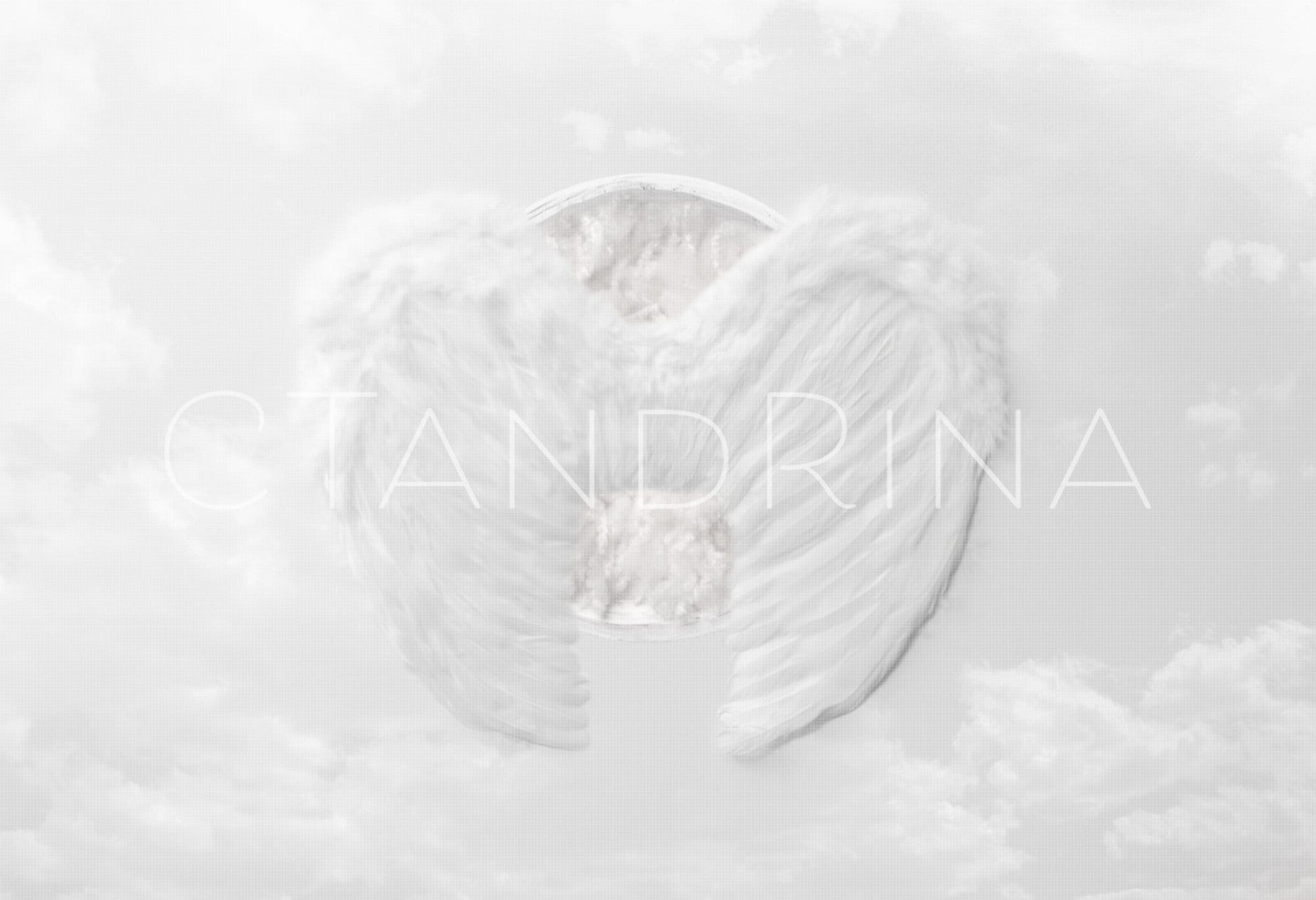 Angel Wings Newborn Digital Backdrop. Angel Baby Newborn Digital Background, Newborn Digital Backdrops for Photoshop