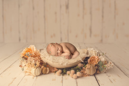 Fall Newborn Digital Backdrop, Autumn Newborn Digital Background, Beautiful Blush and Beige Fall Pumpkin Digital Baby Backdrop for Photoshop