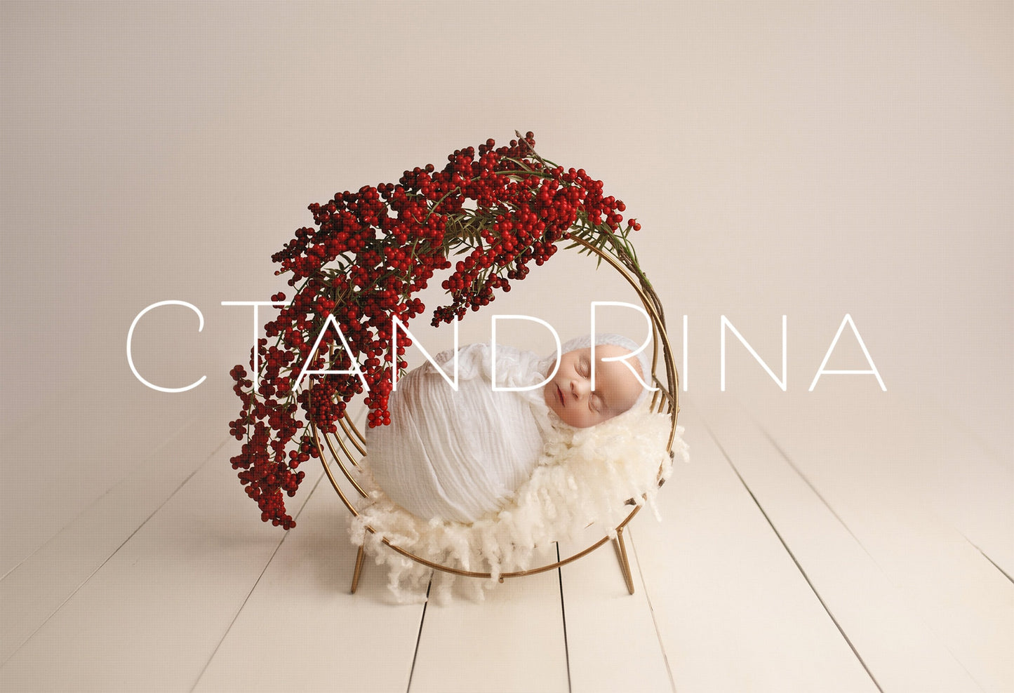 Christmas Newborn Digital Backdrop, Newborn Digital Background, Beautiful Holiday Newborn Girl PNG Digital Backdrop for Photoshop