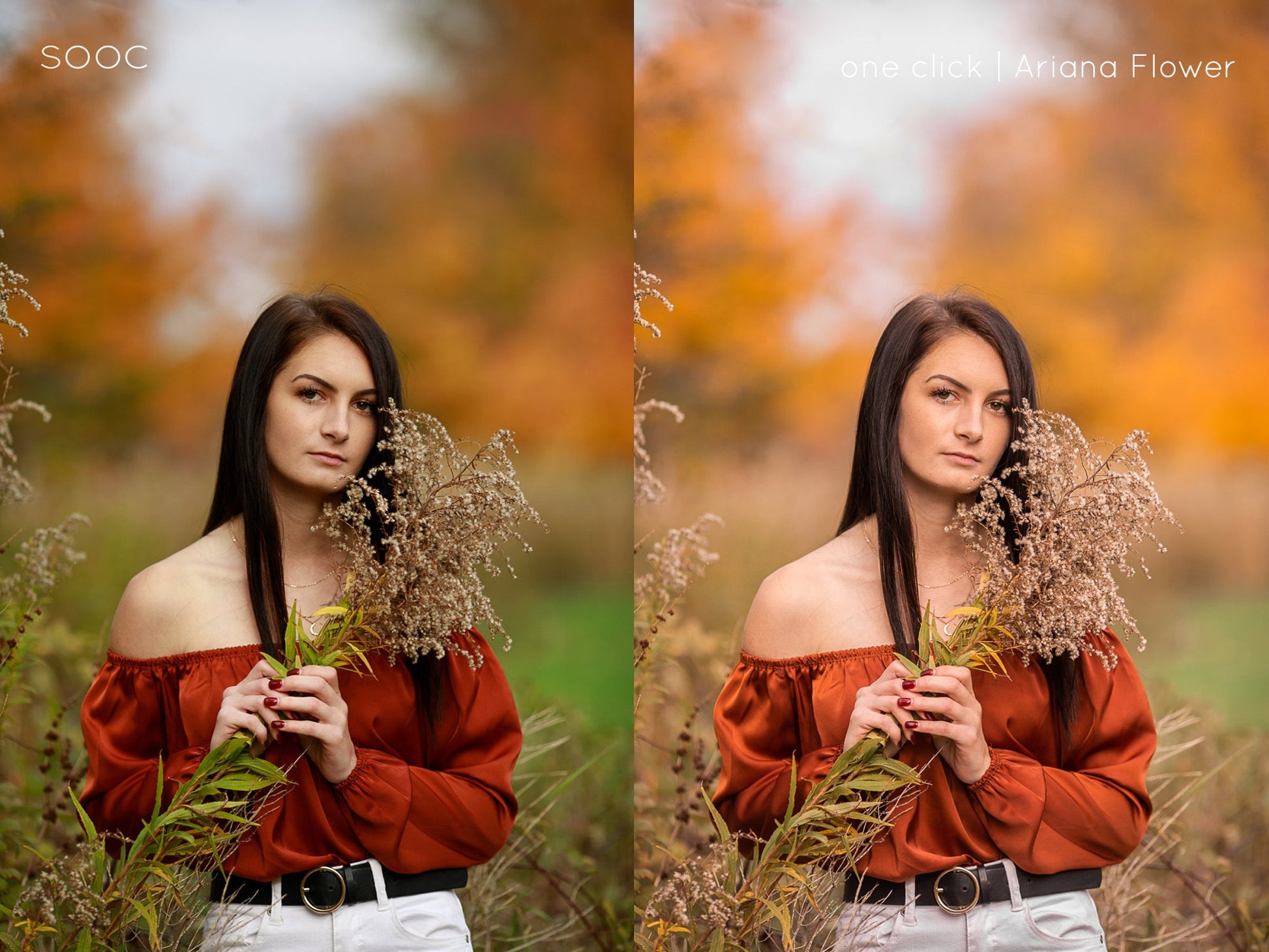 Lightroom Desktop Presets, Fall Lightroom Presets, Lightroom Presets for Fall Tones, Fall Vibes Lightroom Presets for Desktop