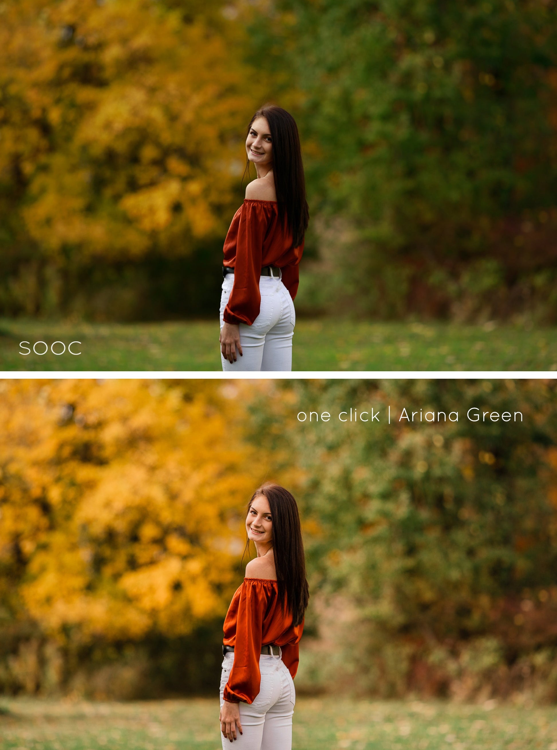 Lightroom Desktop Presets, Fall Lightroom Presets, Lightroom Presets for Fall Tones, Fall Vibes Lightroom Presets for Desktop