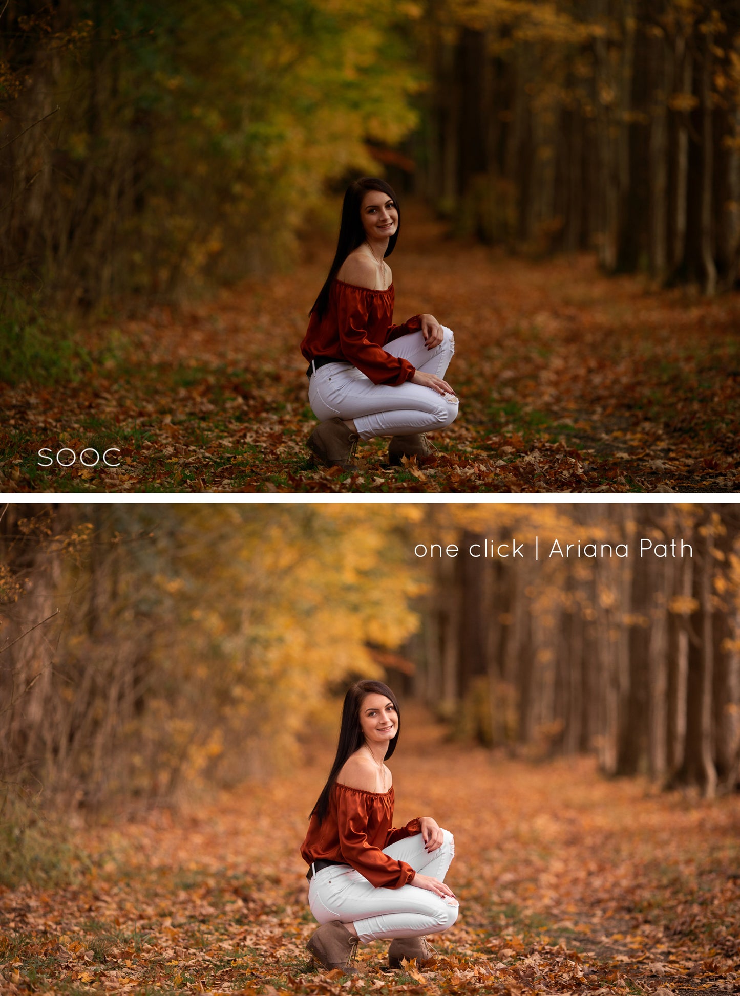 Lightroom Desktop Presets, Fall Lightroom Presets, Lightroom Presets for Fall Tones, Fall Vibes Lightroom Presets for Desktop