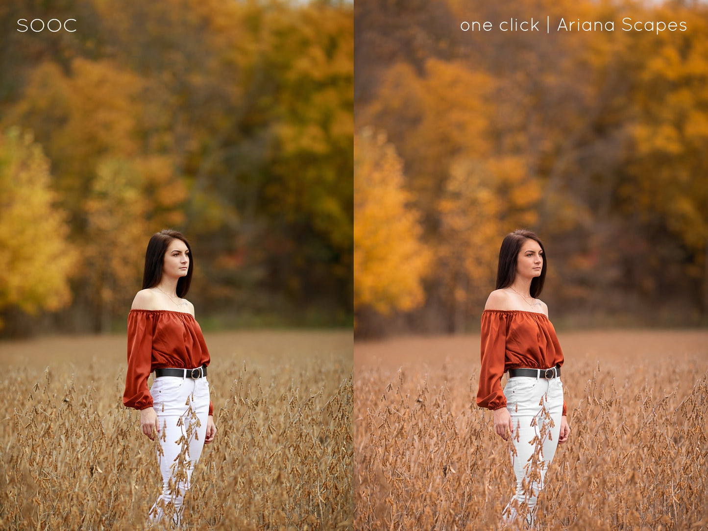 Lightroom Desktop Presets, Fall Lightroom Presets, Lightroom Presets for Fall Tones, Fall Vibes Lightroom Presets for Desktop