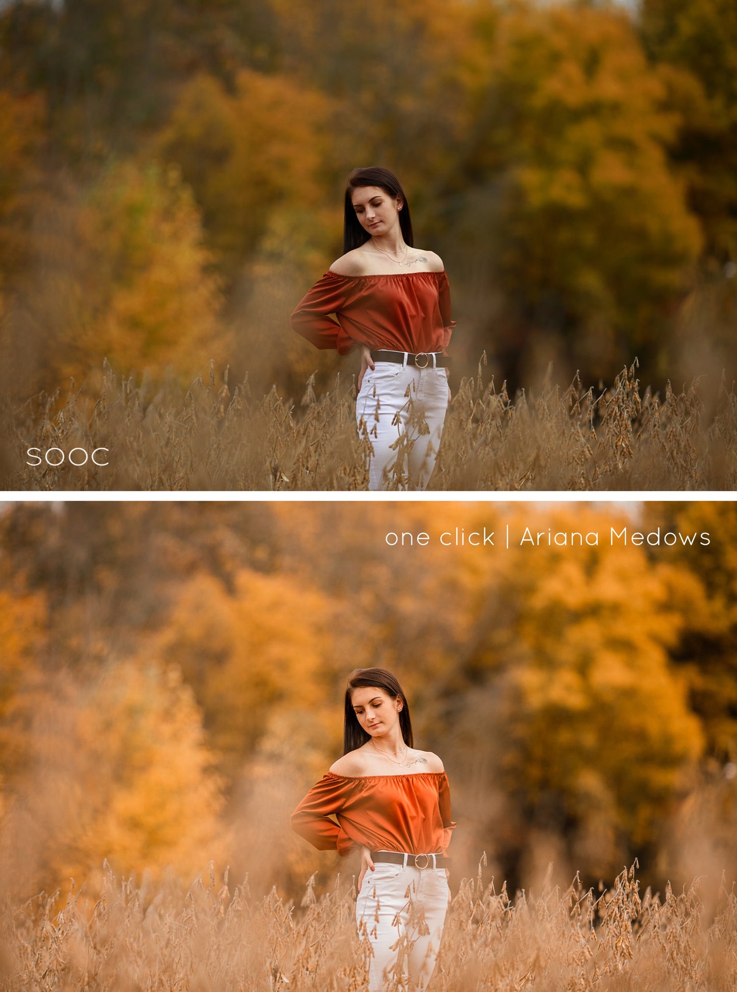 Lightroom Desktop Presets, Fall Lightroom Presets, Lightroom Presets for Fall Tones, Fall Vibes Lightroom Presets for Desktop