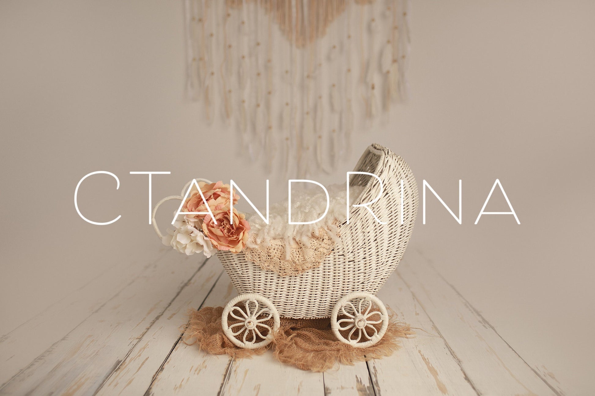 Baby Carriage Newborn Digital Backdrop, Baby Girl Digital Backdrop, Vintage Carriage Newborn Digital Background, Baby Photoshop Backdrops