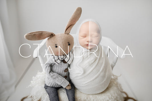 Newborn Digital Backdrop, Easter Bunny Newborn Digital Background, Bunny PNG Newborn Backdrop, Face Insert Baby Backdrop for Photoshop