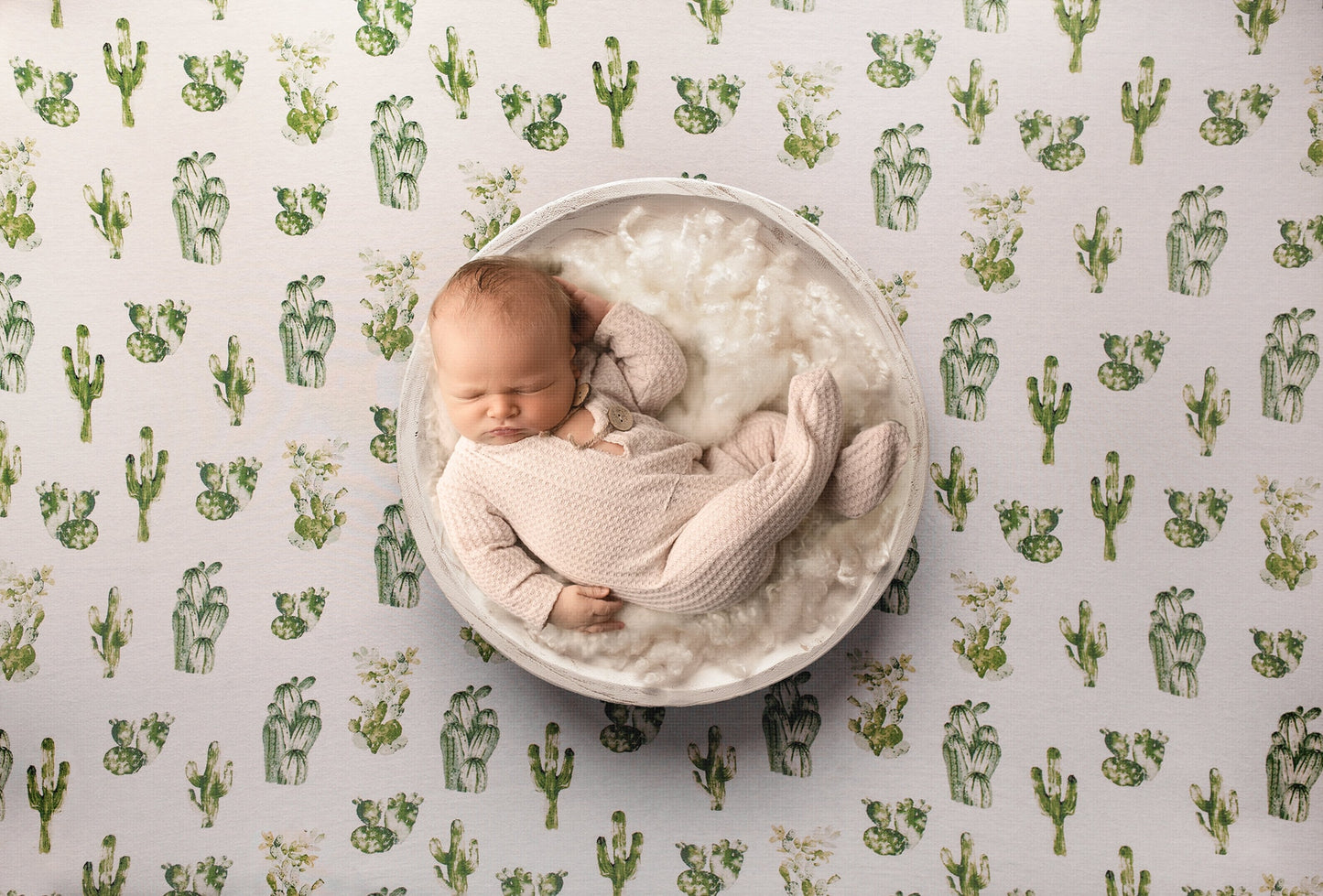 Newborn Digital Backdrop, Newborn Digital Background, Cactus Newborn Digital Backdrop, Baby Boy Digital Backdrop, Newborn Photoshop Backdrop