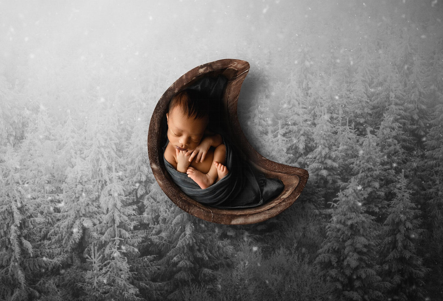 Newborn Digital Backdrop, Gray Moon and Snow Covered Trees Newborn Digital Background, Baby Boy Backdrops, Moon Prop Backdrop for Photoshop