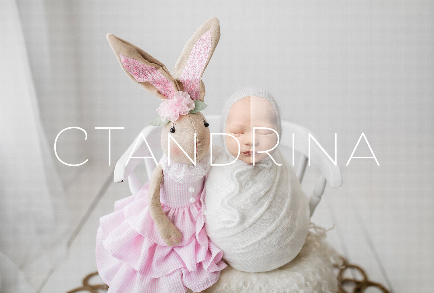 Newborn Digital Backdrop, Easter Bunny Newborn Digital Background, Bunny PNG Newborn Backdrop, Face Insert Baby Backdrop for Photoshop