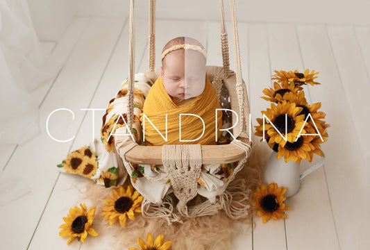 Sunflower Newborn Digital Backdrop, Macrame Swing, Insert the Face Newborn Digital Background for Photoshop, Composite Baby Backdrops