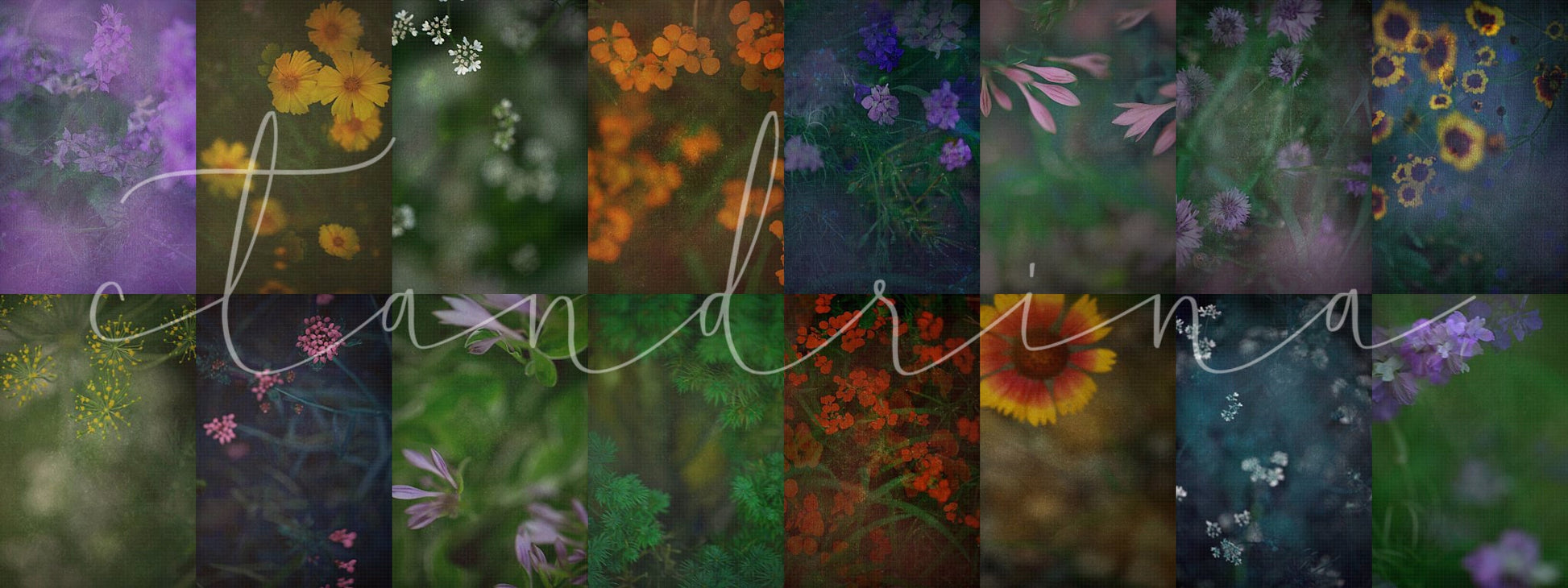 floral texture overlays, maternity backdrop overlays, foliage overlays, maternity backgrounds, studio digital backdrops, studio backdrop overlays, photoshop overlays, best seller, ctandrina, best backdrop overlays, floral texture overlay