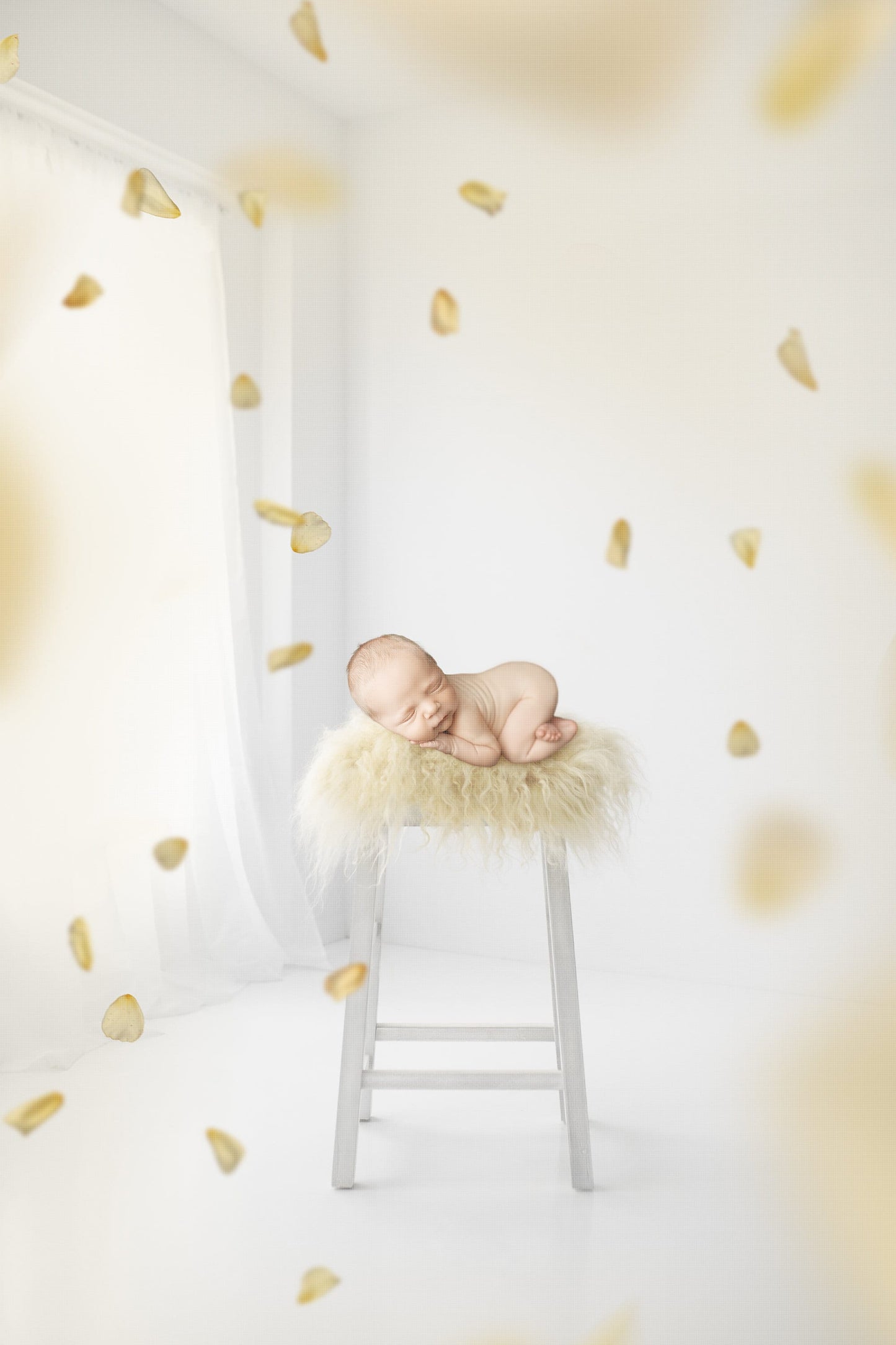 Newborn Digital Backdrop, Yellow Falling Petals Newborn Digital Backdrop, Spring Newborn Backdrop, Window Newborn Backdrop for Photoshop