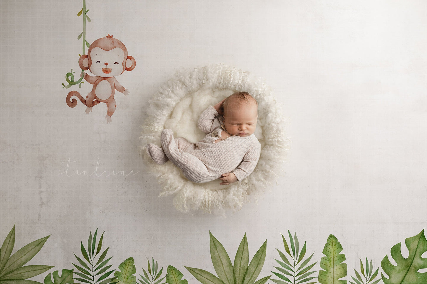 Newborn Digital Backdrop, Monkey Jungle Newborn Digital Background, Safari Newborn Backdrop, Newborn Boy Backdrops for Photoshop Composites