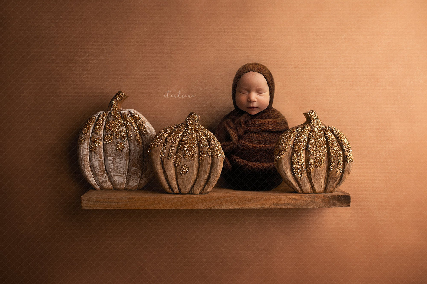 Fall Newborn Digital Backdrop, Wood Pumpkins Newborn Digital Background, Pumpkins on Shelf Newborn Digital Backdrop for Photoshop Composites