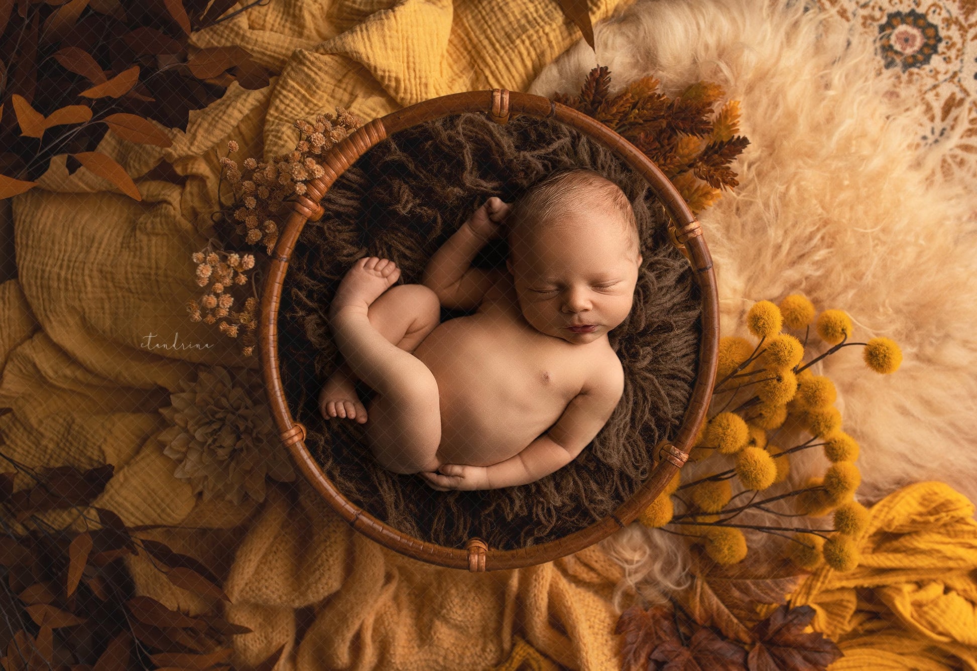 Newborn Digital Backdrop 2 Pack, Fall Newborn Digital Backdrops, Warm Tone Textures Newborn Fall Backdrop for Photoshop Composites