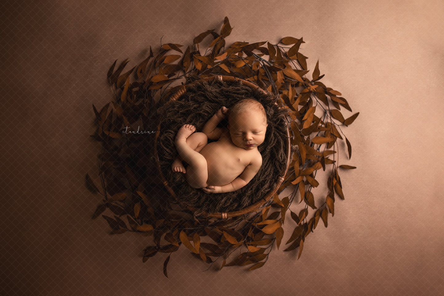 Fine Art Newborn Digital Backdrop, Dried Leaves Newborn Digital Background, Newborn Digital Backdrops for Photoshop Composites, Fine Art