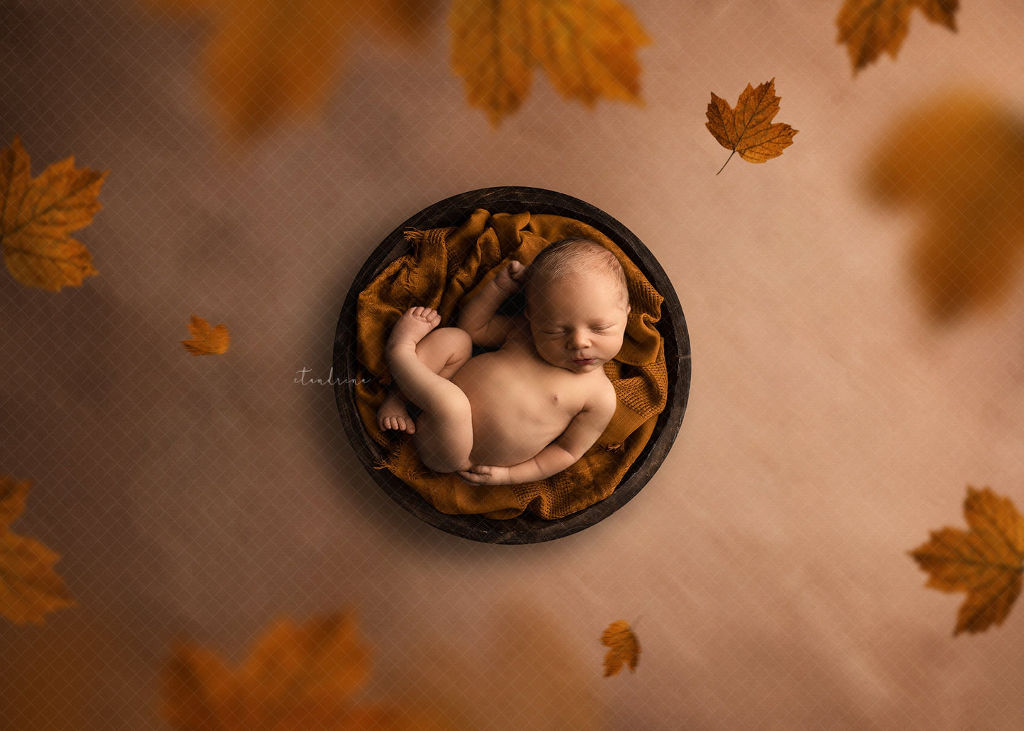 Fall Falling Leaves Newborn Digital Backdrop, Autumn Leaves Newborn Background, Baby Boy/Girl Fall Digital Backdrops for Photoshop Composite