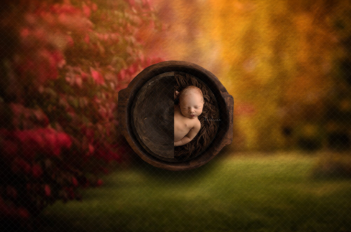 Fall Newborn Digital Backdrop, Autumn Baby Background for Photoshop, Fall Trees Digital Backdrop, Double Bowl Newborn Digital Backdrop