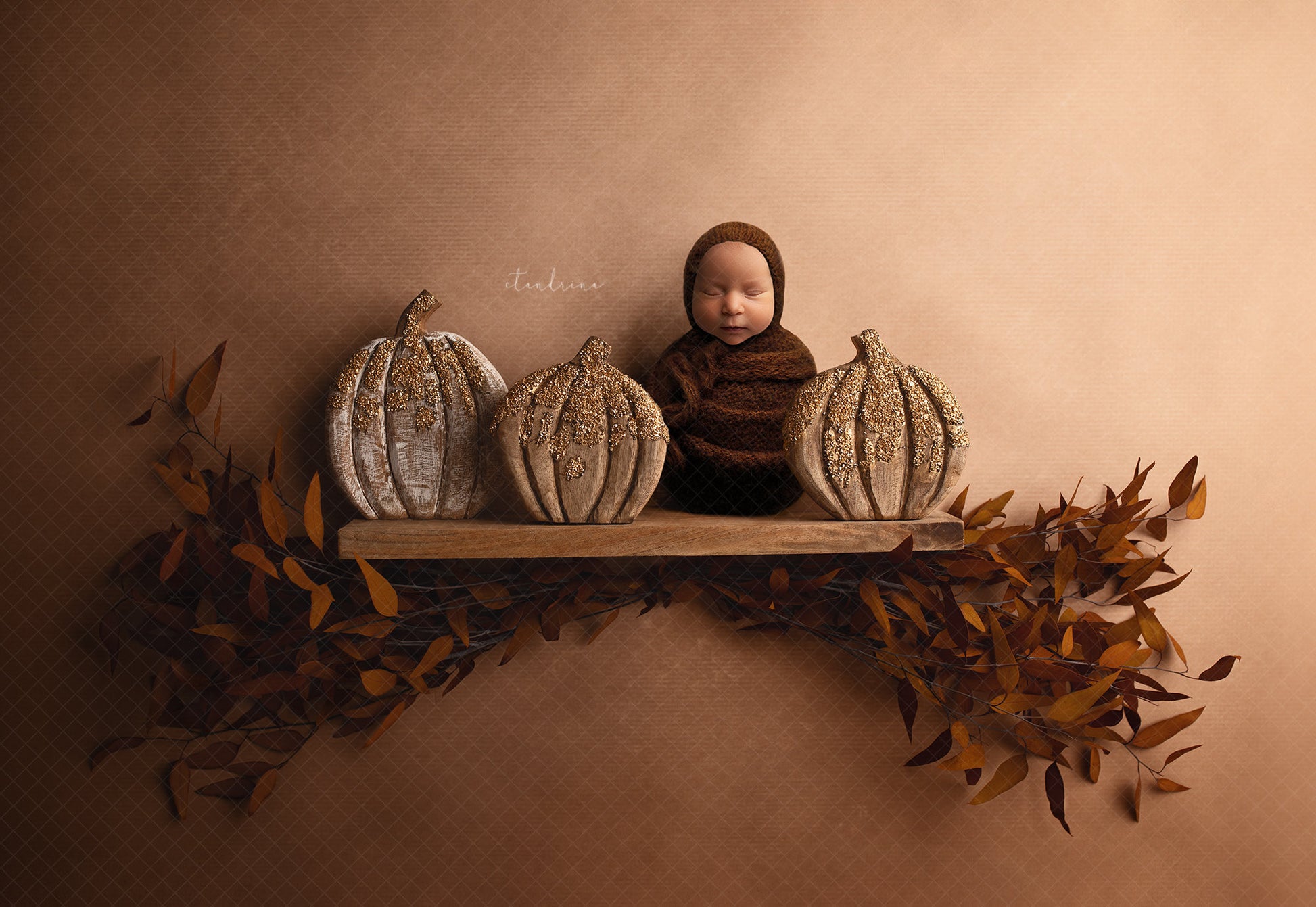 Fall Newborn Digital Backdrop, Wood Pumpkins Newborn Digital Background, Pumpkins on Shelf Newborn Digital Backdrop for Photoshop Composites