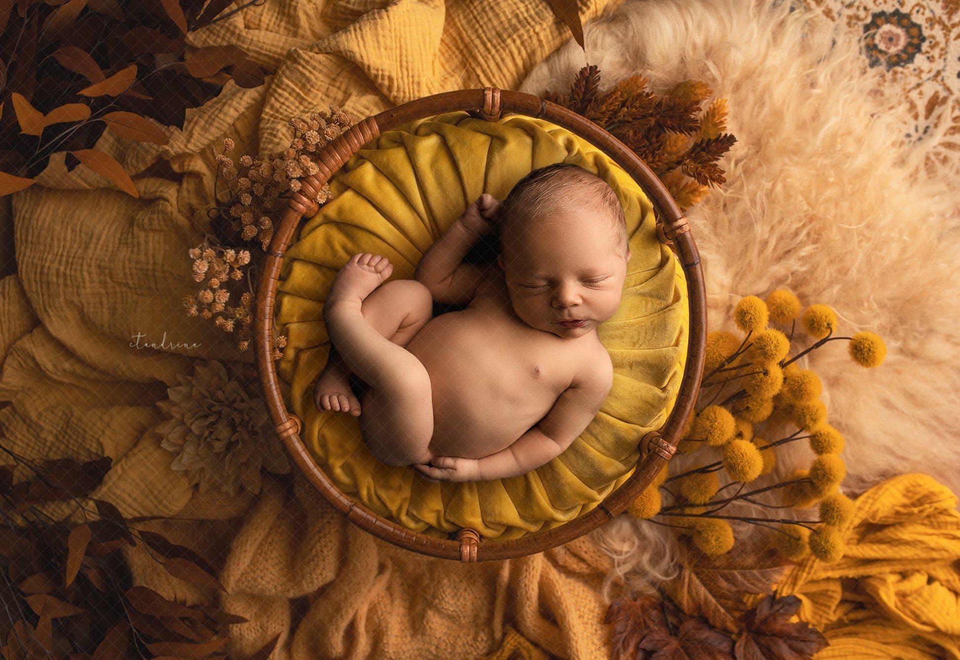 Newborn Digital Backdrop 2 Pack, Fall Newborn Digital Backdrops, Warm Tone Textures Newborn Fall Backdrop for Photoshop Composites