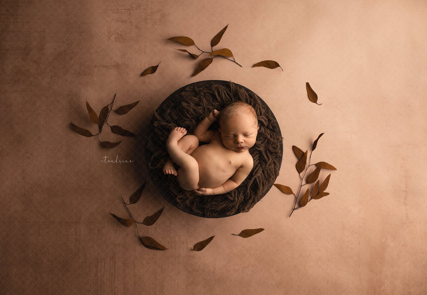 Fine Art Newborn Digital Backdrop, Dainty Dried Leaves Newborn Digital Background, Newborn Digital Backdrops for Photoshop Composites