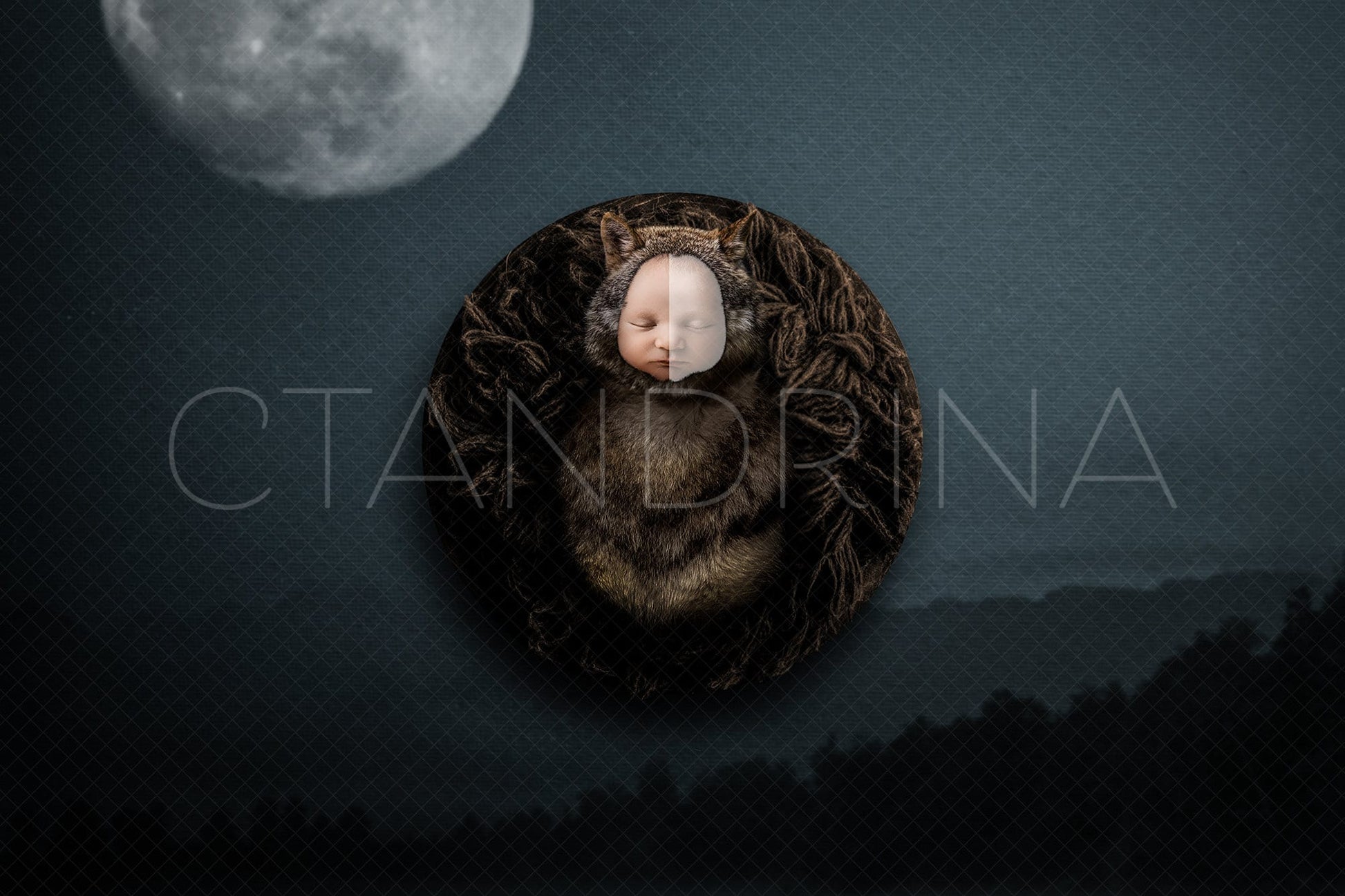 Wolf and Full Moon Newborn Digital Backdrop, Halloween Newborn Digital Backdrop, PNG Werewolf Baby Newborn Background for PS Composite