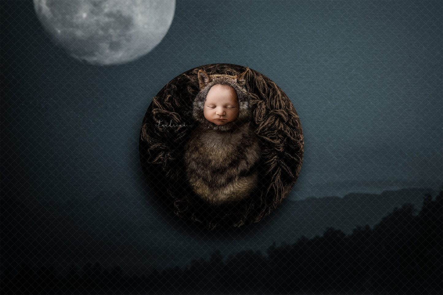 Wolf and Full Moon Newborn Digital Backdrop, Halloween Newborn Digital Backdrop, PNG Werewolf Baby Newborn Background for PS Composite