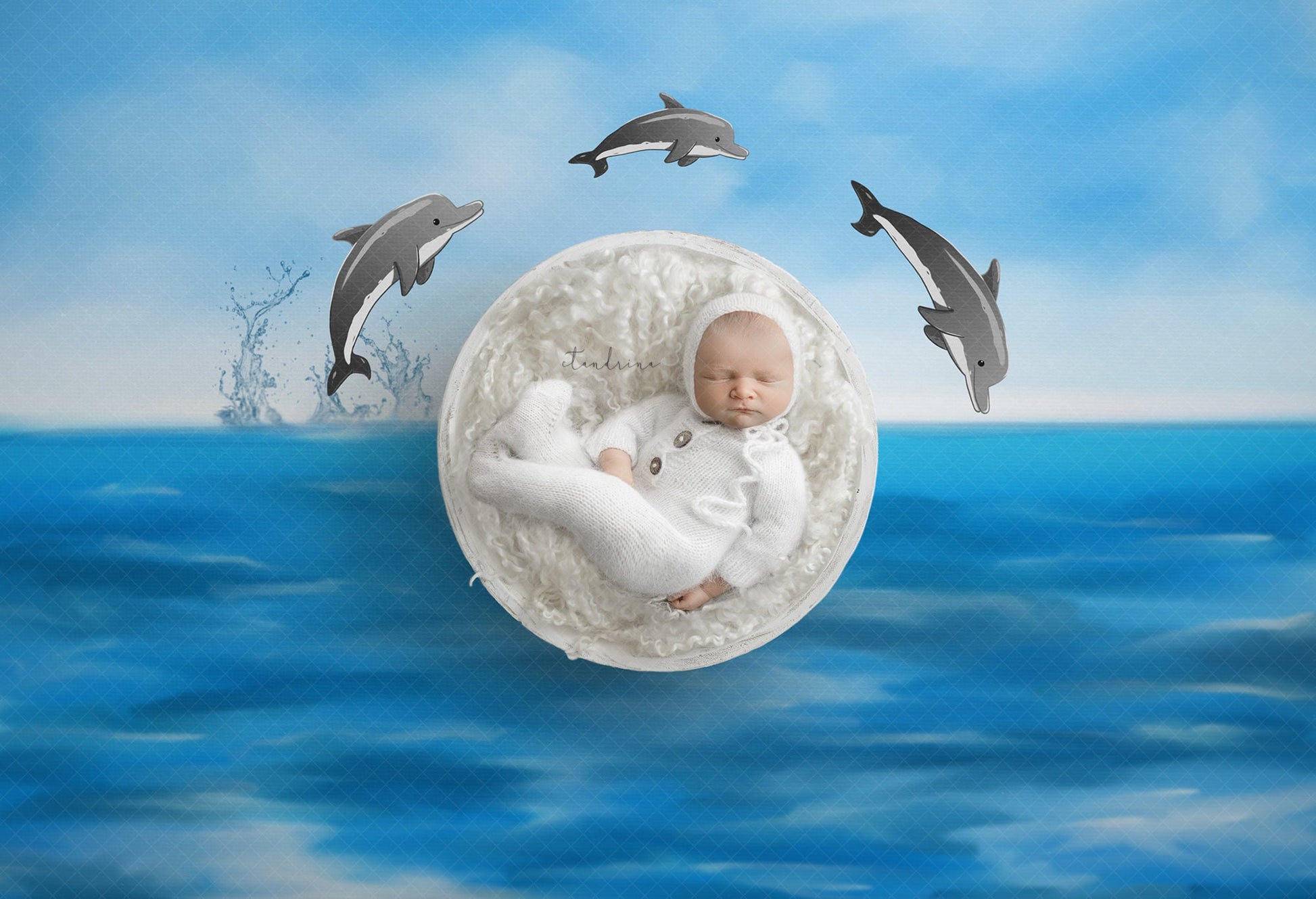 Dolphin Newborn Digital Backdrop, Ocean Baby Backdrop, Sea Backdrop, Newborn Girl, Newborn Boy, Newborn Composite Backdrops for Photoshop