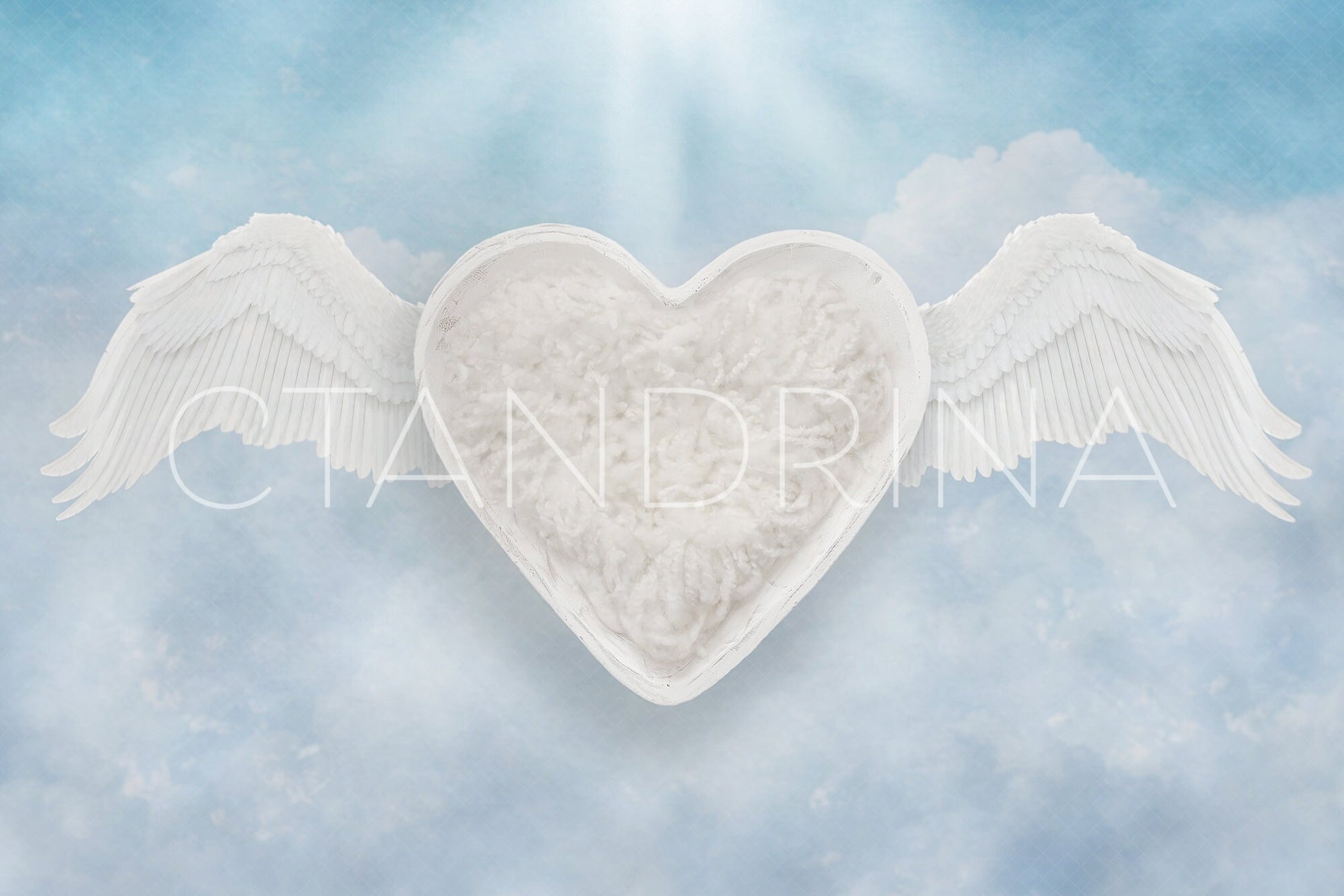 Angel Baby Newborn Digital Backdrop, Heart with Wings Newborn Background, Newborn Girl, Newborn Boy, Composite Backdrops for Photoshop