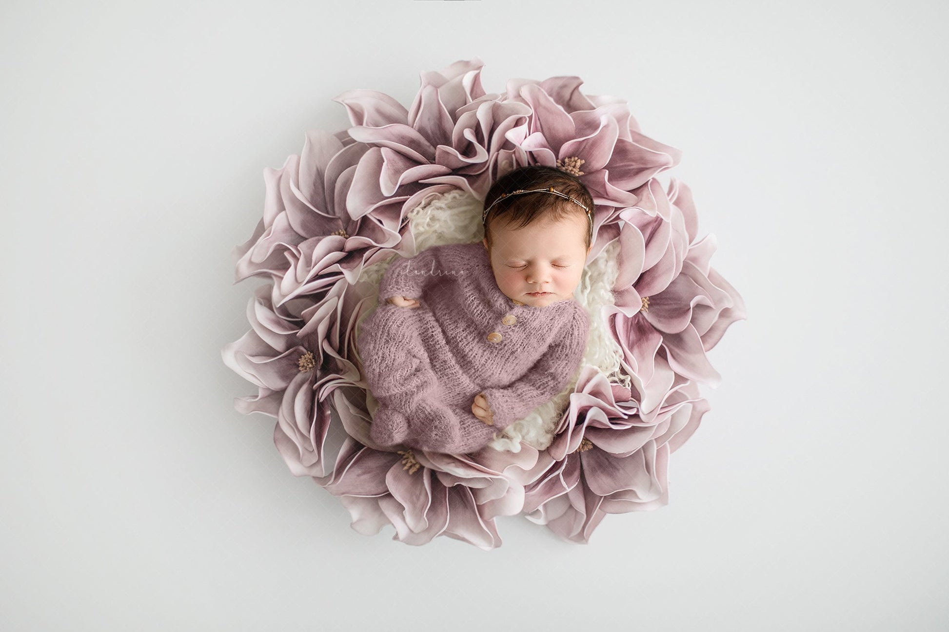 Newborn Digital Backdrop for Photoshop, Fine Art Newborn Composite Backdrops, Floral Wreath Newborn Digital Backdrop, Baby Girl Backdrops