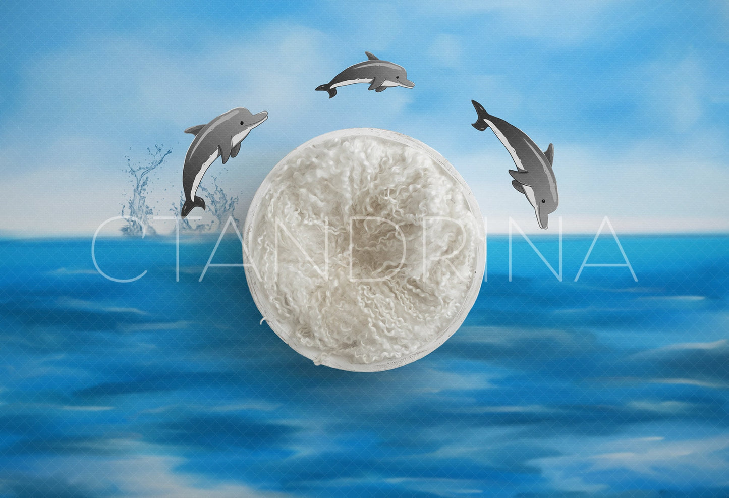 Dolphin Newborn Digital Backdrop, Ocean Baby Backdrop, Sea Backdrop, Newborn Girl, Newborn Boy, Newborn Composite Backdrops for Photoshop