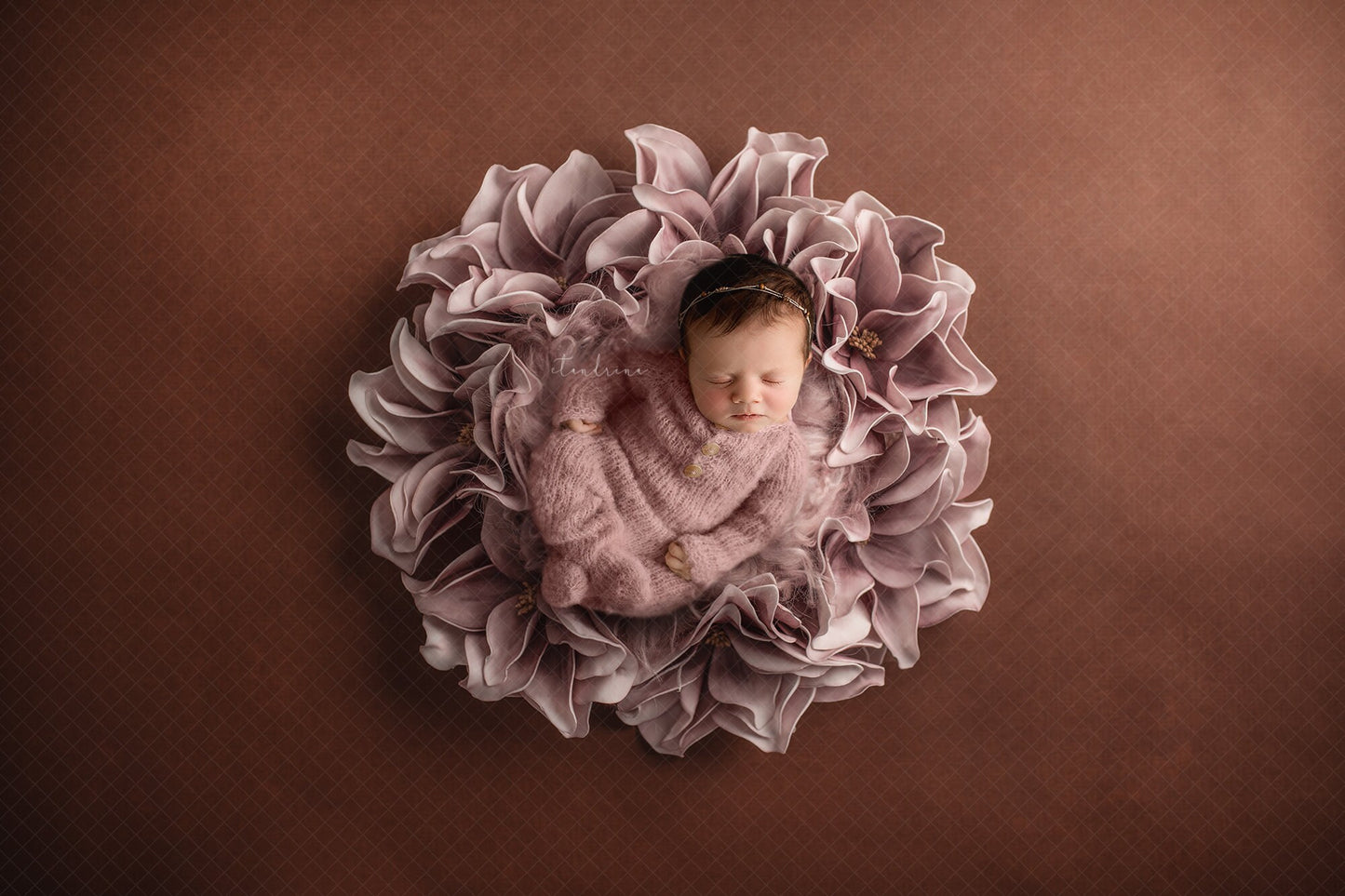 Newborn Digital Backdrop for Photoshop, Fine Art Newborn Composite Backdrops, Floral Wreath Newborn Digital Backdrop, Baby Girl Backdrops