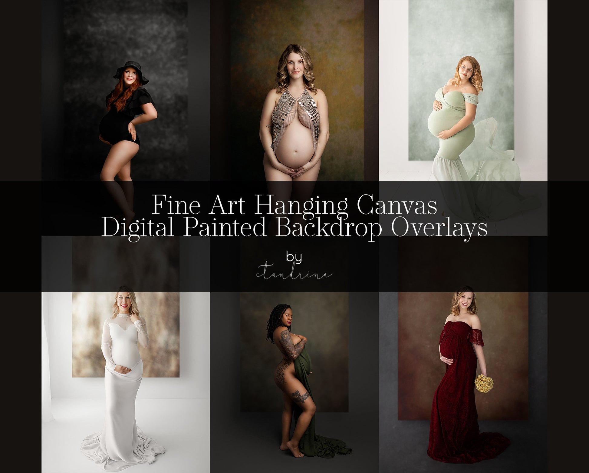 Digital Fine Art Hanging Canvas Paintings for Portrait Photography, Overlays for Maternity Photography, Skinny Backdrop Overlays