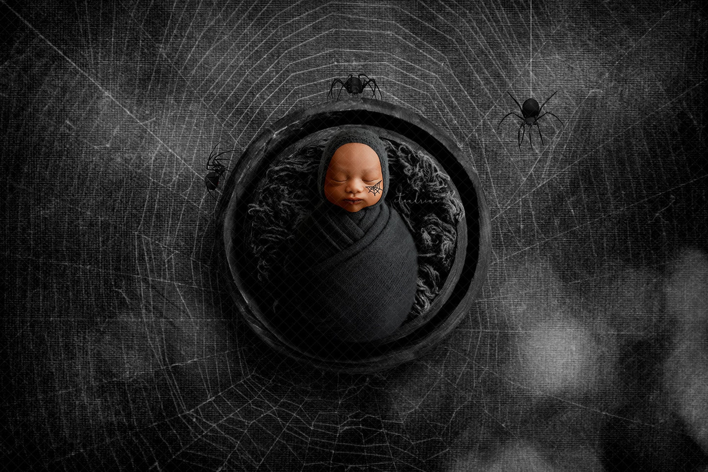 Halloween Newborn Digital Backdrop, Spider and Web Newborn Background, Spooky Baby Backdrops for Photoshop Composites