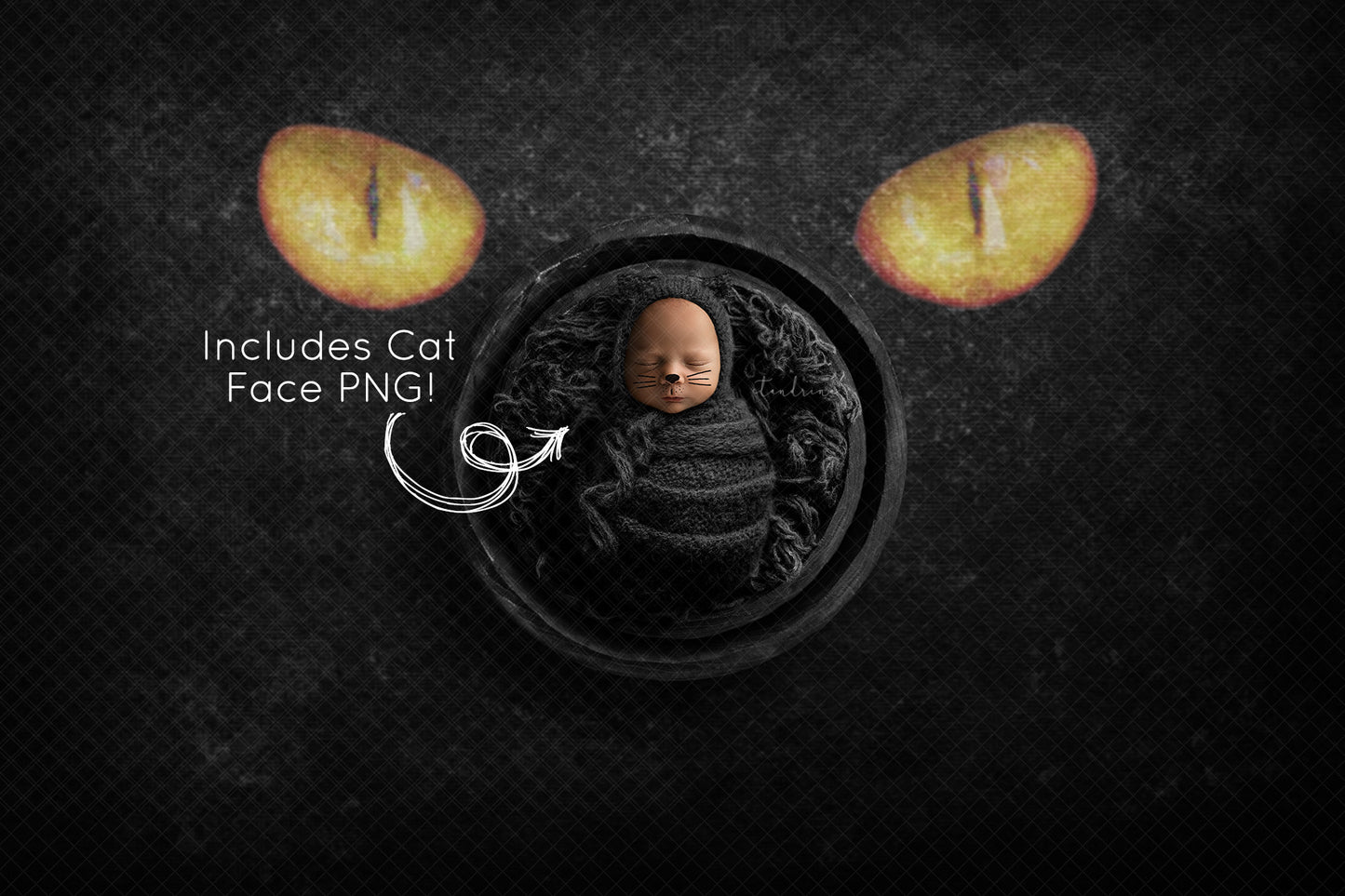 Cat Newborn Digital Backdrop, Black Cat Newborn Background, Cat Face PNG Overlay, Halloween Newborn Digital Backdrops for Photoshop