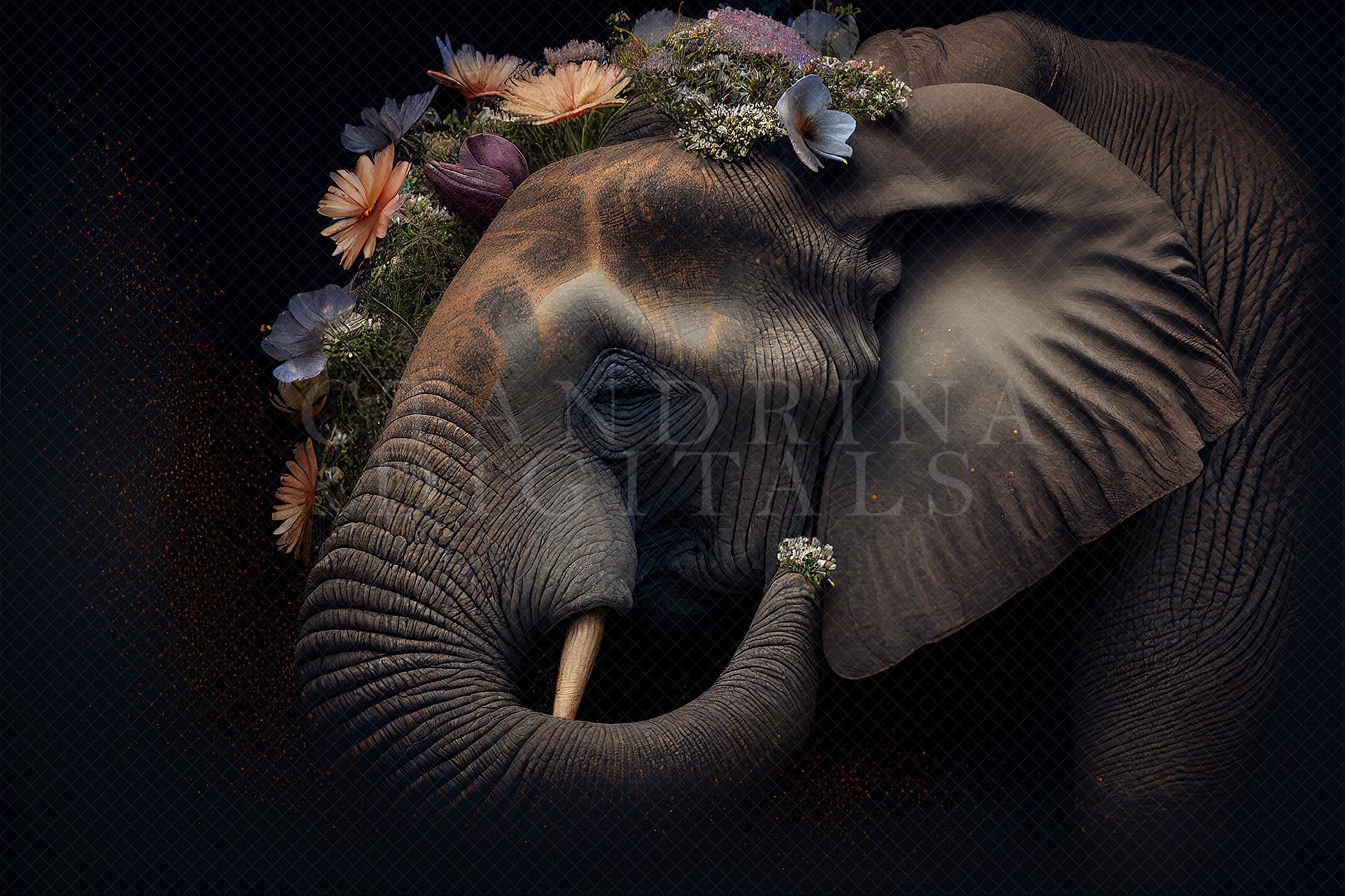 Beautiful Elephant Newborn Digital Backdrop, Fine Art Newborn Backgrounds, Elephant Trunk Side Profile Newborn Backdrop for Composites