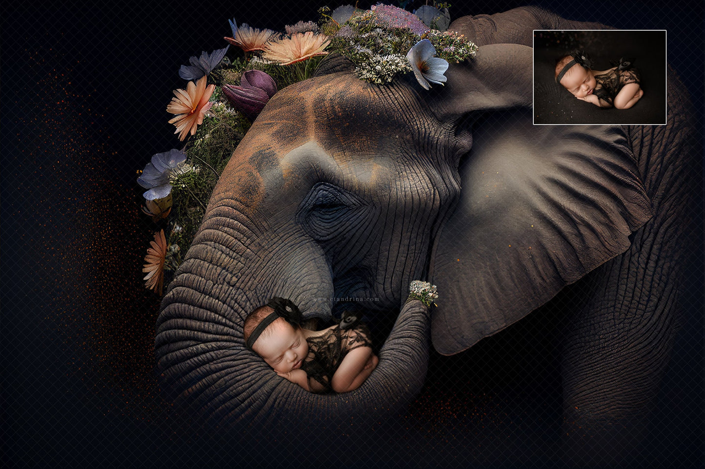 Beautiful Elephant Newborn Digital Backdrop, Fine Art Newborn Backgrounds, Elephant Trunk Side Profile Newborn Backdrop for Composites