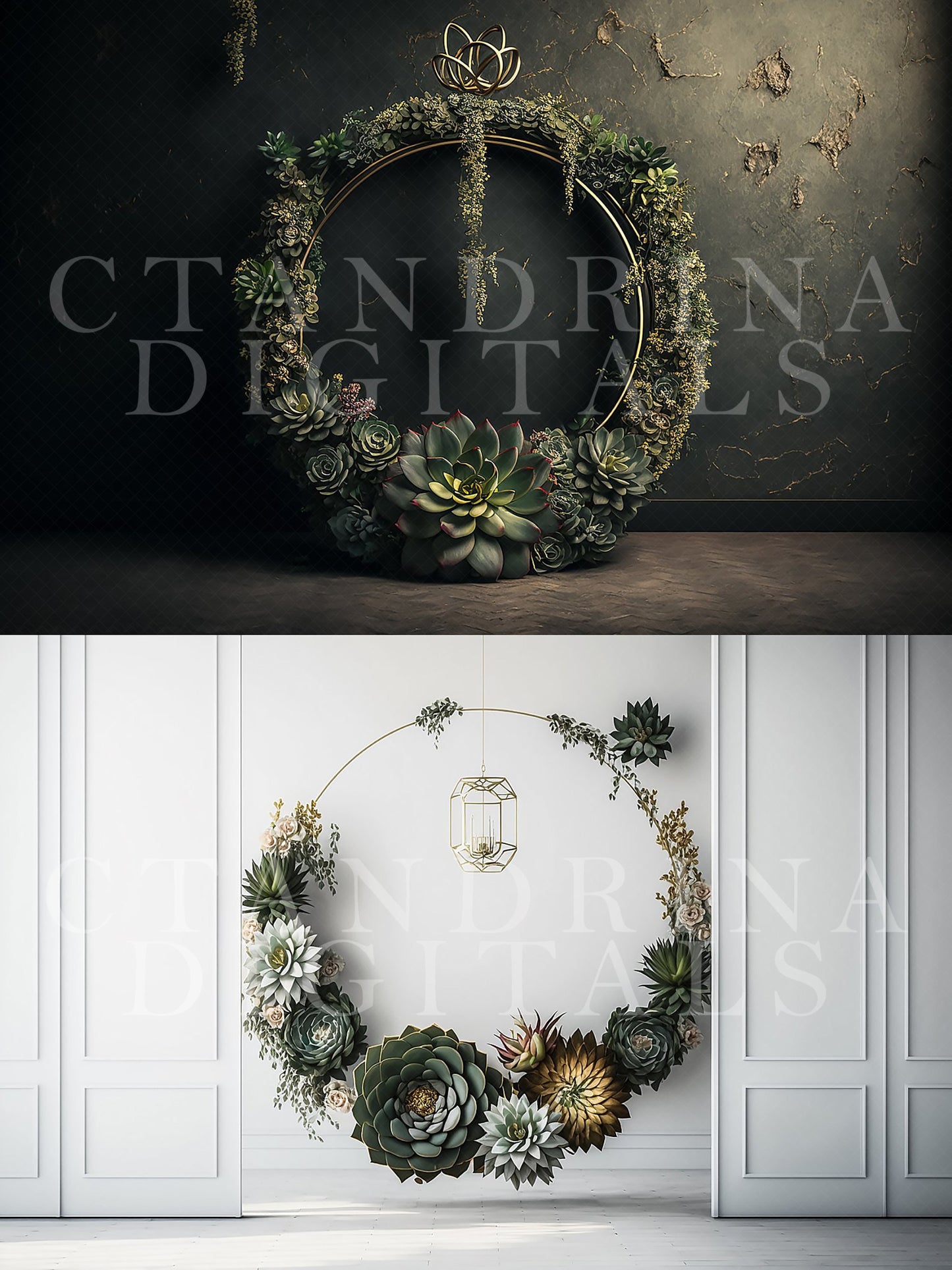 maternity digital backdrops, fine art floral ring backdrops, maternity backdrops best sellers, studio digital backdrops, ctandrina, original floral ring backdrops, spring floral backdrops, succulent hoop backdrops