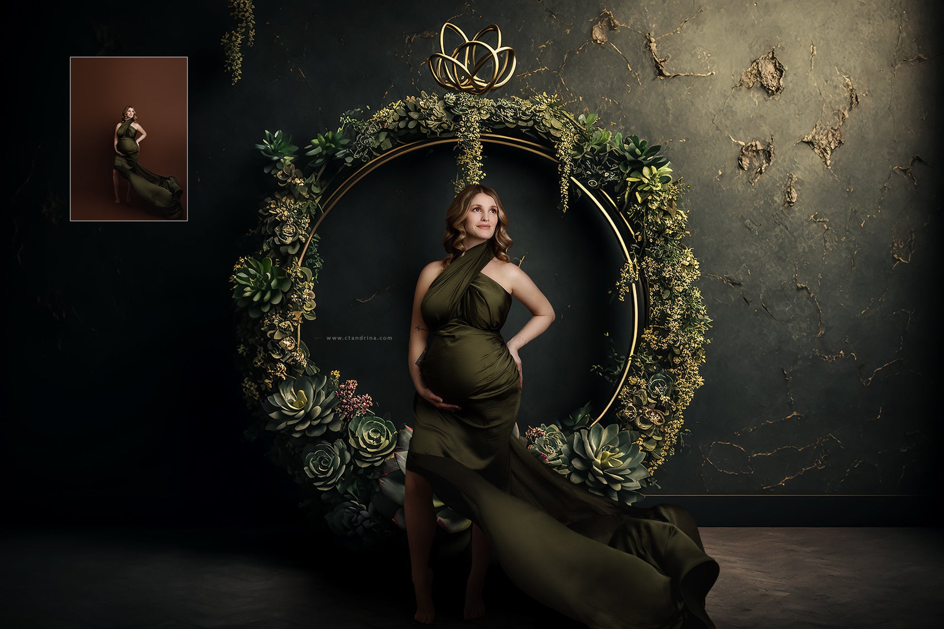 maternity digital backdrops, fine art floral ring backdrops, maternity backdrops best sellers, studio digital backdrops, ctandrina, original floral ring backdrops, spring floral backdrops, succulent hoop backdrops