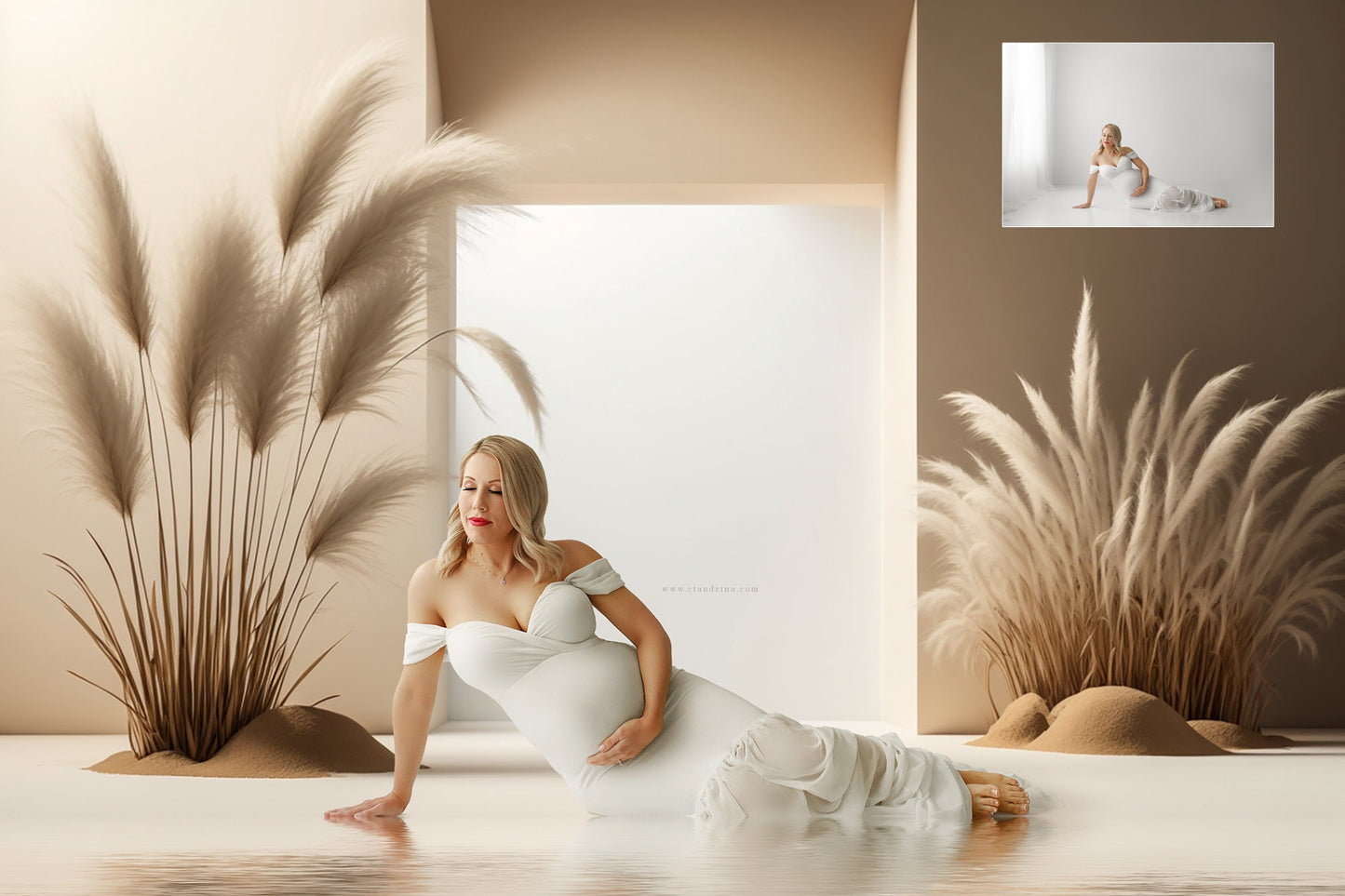 Summer Pampas Grass Digital Backdrops, Studio Digital Backdrops, Maternity Digital Backdrops, Digital Backgrounds for Photoshop Composite