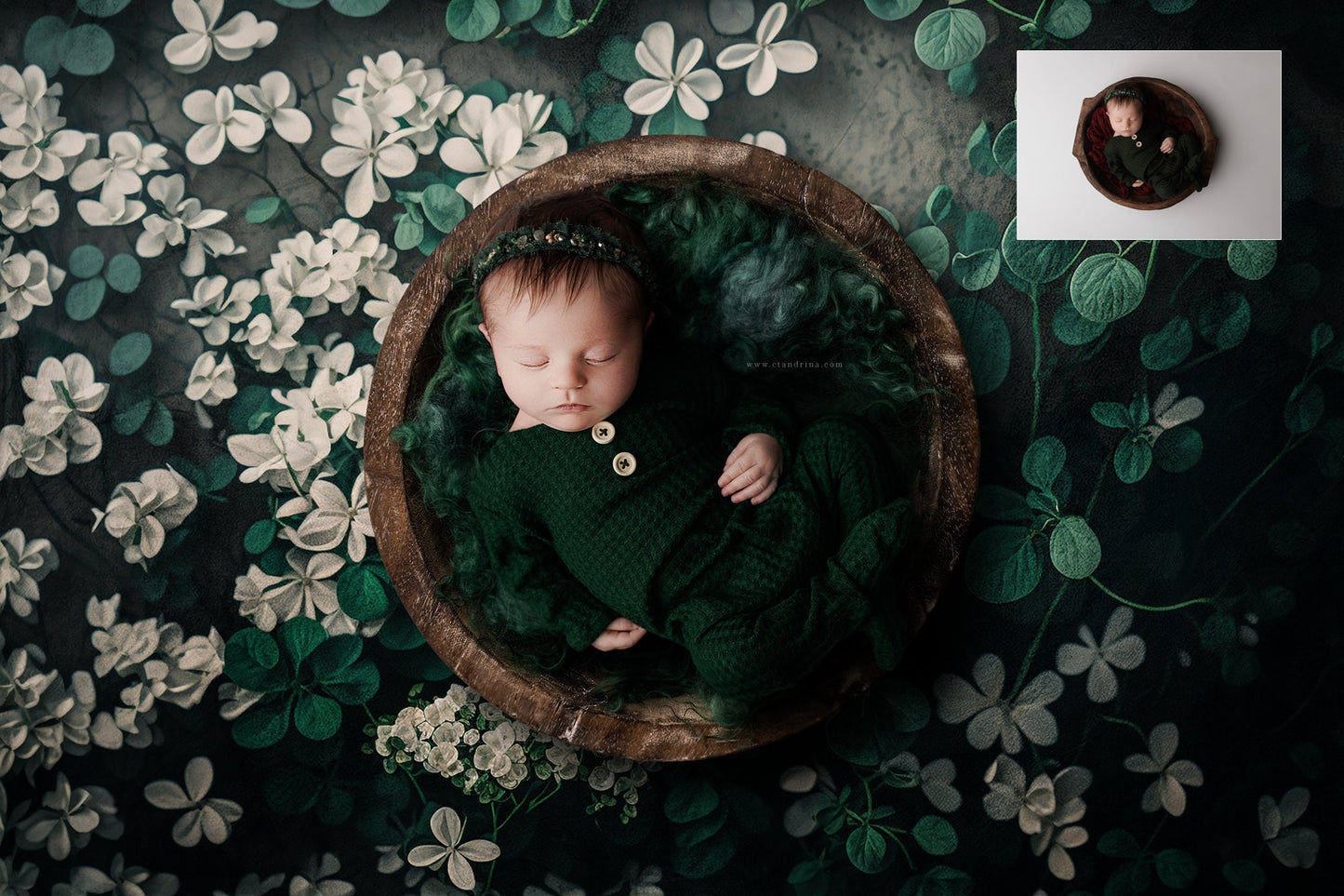 Shamrock Newborn Digital Backdrops, St. Patrick's Day Newborn Backdrop, Shamrock and Florals Newborn Digital Backdrops for Photoshop