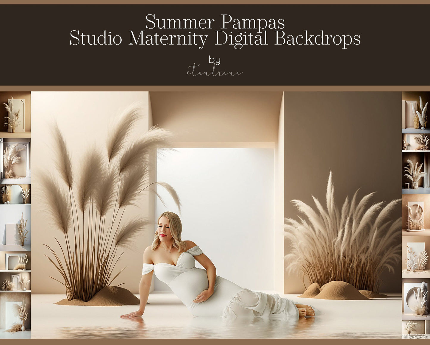 Summer Pampas Grass Digital Backdrops, Studio Digital Backdrops, Maternity Digital Backdrops, Digital Backgrounds for Photoshop Composite