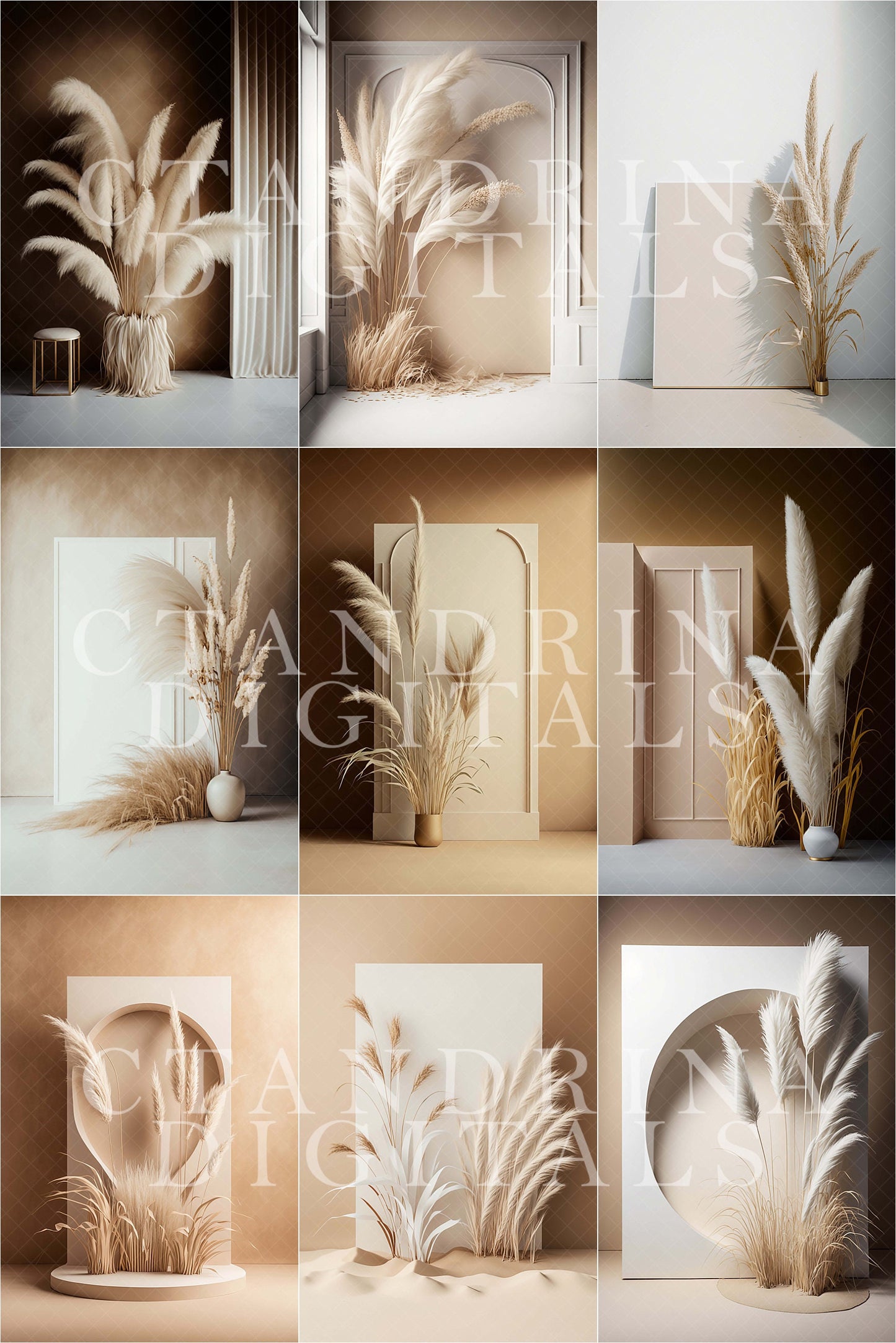 Summer Pampas Grass Digital Backdrops, Studio Digital Backdrops, Maternity Digital Backdrops, Digital Backgrounds for Photoshop Composite