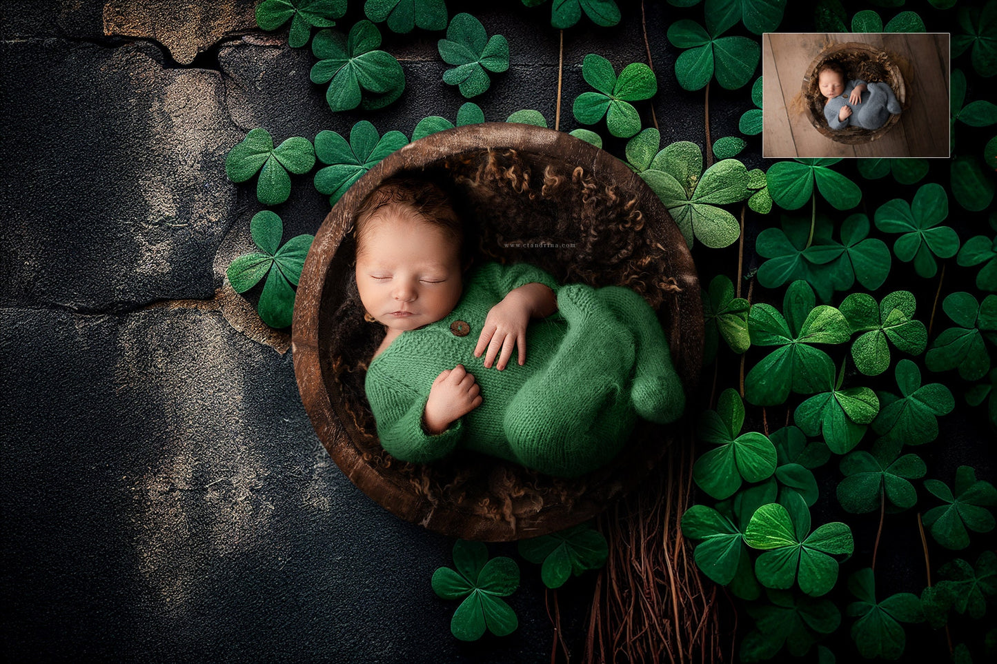 Shamrock Newborn Digital Backdrops, St. Patrick's Day Newborn Backdrop, Shamrock and Florals Newborn Digital Backdrops for Photoshop