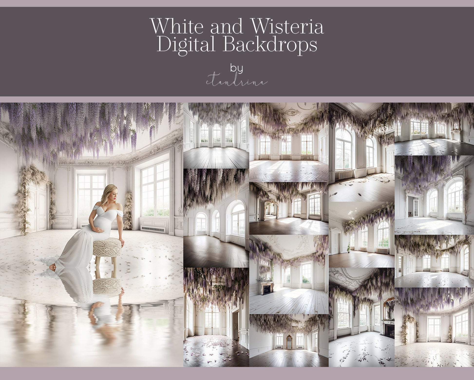 White and Wisteria Digital Backdrops, White Room with Hanging Wisteria Backgrounds for Photoshop Composite, Maternity Digital Backdrops